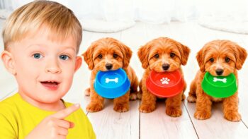 Pets & Animal Stories for Kids 🐾