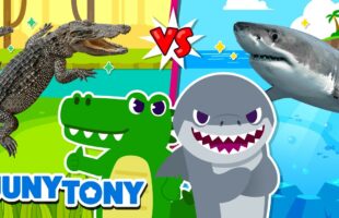 Alligator vs Shark 🦈 Who Wins the Sharp Teeth Challenge? Fun Animal Songs Kids Love!