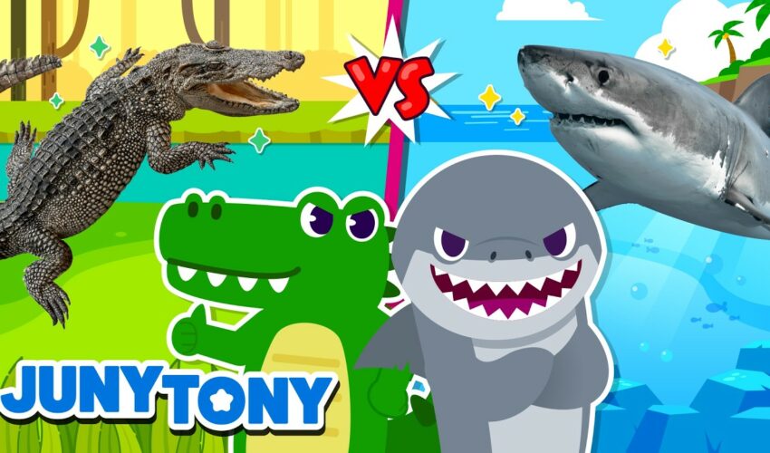 Alligator vs Shark 🦈 Who Wins the Sharp Teeth Challenge? Fun Animal Songs Kids Love!