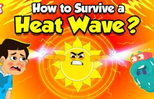 How to Survive a Heat Wave | Heatstroke & Heat Exhaustion Tips for Kids